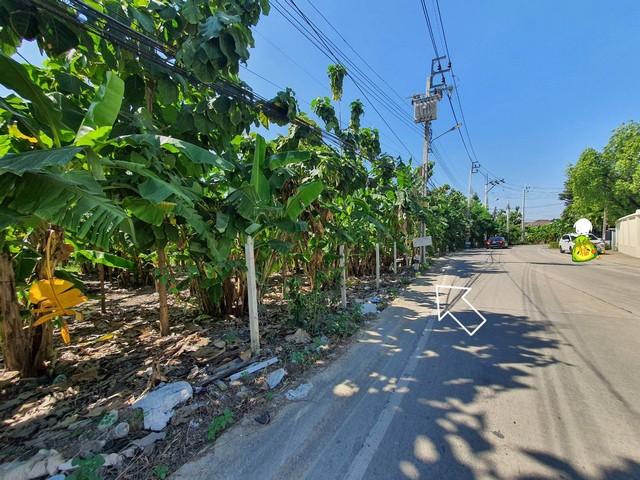 2236 ขาย ที่ดิน ที่ดิน ตำบลท่าอิฐ อำเภอปากเกร็ด จังหวัดนนทบุรี นนทบุรี ปากเกร็ด 6 ไร่ 2400 ตร.วา ใกล้กับ หมู่บ้านประดับด 5