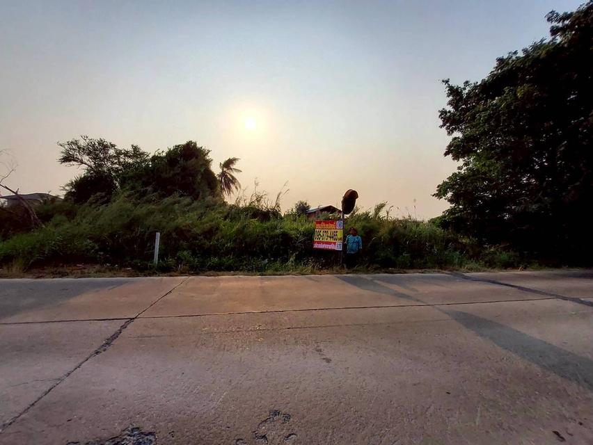 ขายด่วนที่ดิน 267 ตรว ติดถนนคอนกรีตสาธารณะ ซ.ดาวทอง 2 ศาลายา พุทธมณฑล นครปฐม 4