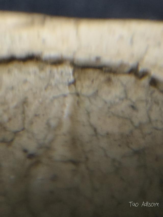 พระสมเด็จวัดระฆังโฆสิตาราม 9