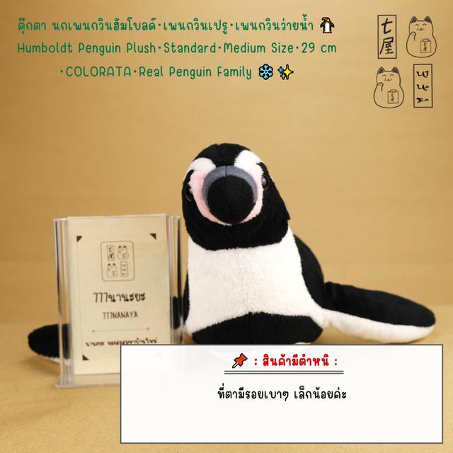 ตุ๊กตา นกเพนกวินฮัมโบลด์・เพนกวินเปรู・เพนกวินว่ายน้ำ 🐧 Humboldt Penguin Plush・Standard ~ Medium Size ~ 29 cm ・COLORATA・Real Penguin Family ❄️✨