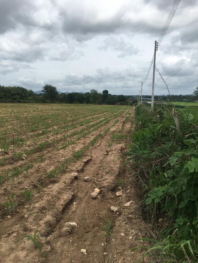 ขายที่ดินโฉนดเขาใหญ่ 7 ไร่ วิวสวย ทำเลศักยภาพสูง ใกล้ถนนหลวงหมายเลข 2235 และใกล้แหล่งท่องเที่ยว 6