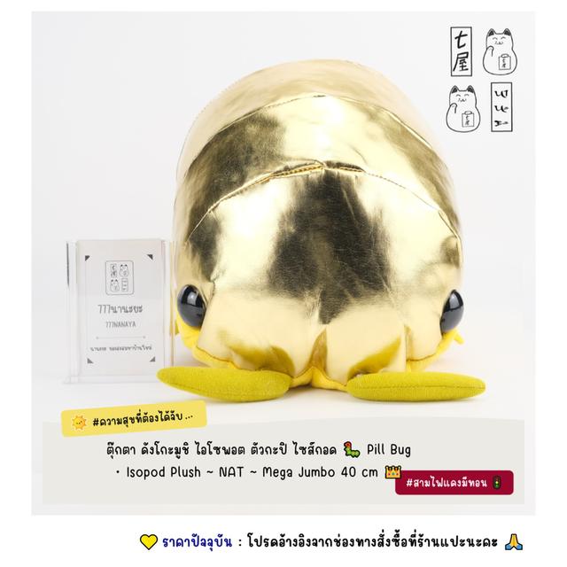ตุ๊กตา ดังโกะมูชิ ไอโซพอต ตัวกะปิ ไซส์กอด 🐛 Pill Bug ・ Isopod Plush ~ NAT ~ Mega Jumbo 40 cm 👑