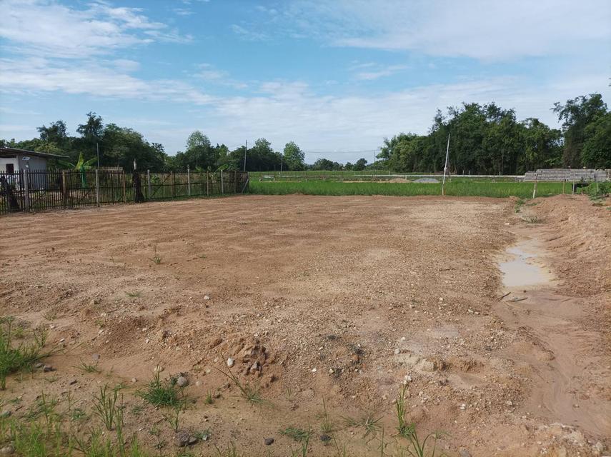 ขายที่ดินเปล่าพร้อมถม ต.สง่าบ้าน อ.ดอยสะเก็ด จ.เชียงใหม่ รูปที่ 2