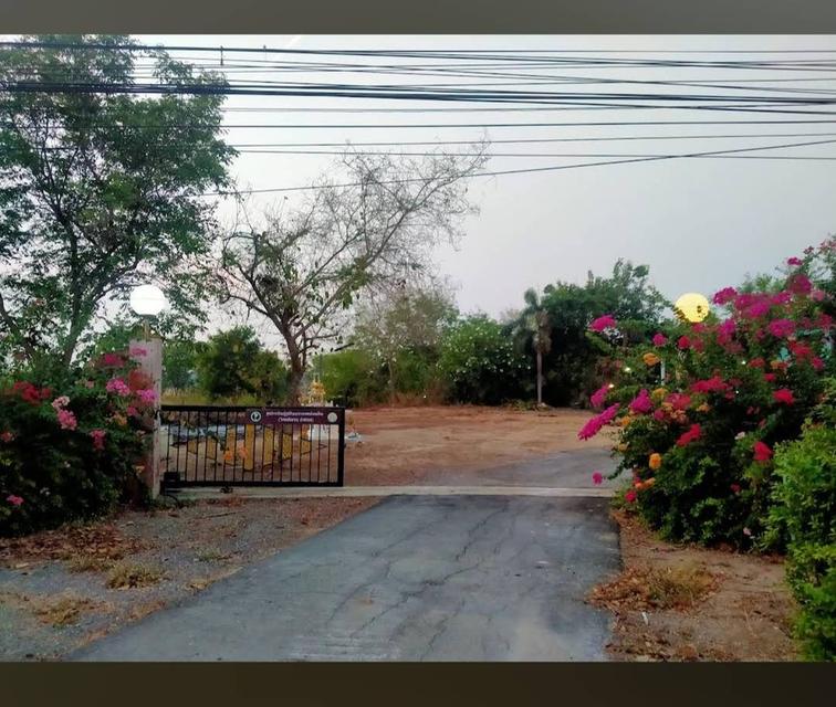 ขาย/ให้เช่า ที่ดินอ่างทอง เจ้าของขายเอง 3