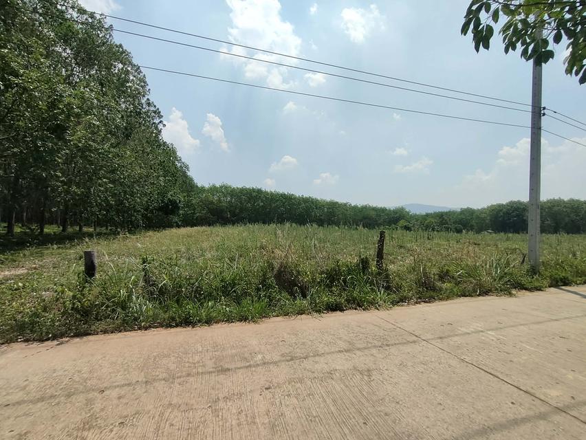 ต้องการแบ่งขาย 5 ไร่คะ ไร่ละ 350,000 เป็นที่มีโฉนดอยู่ด้านหลัง อบต. ห่างจาก อบต.ปลาบ่า 500 เมตร มีน้ำประปา และไฟฟ้า ถนนคอนกรีต ค่าโอนคนละครึ่ง ด้า 6