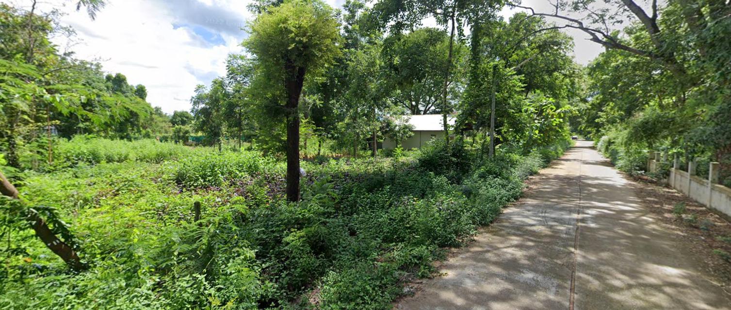 ที่ดินชัยภูมิ บ้านแท่น 7