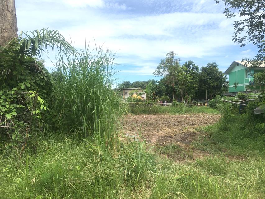 ขายที่ดิน 4ไร่ 3งาน โซนนาวัง,ตะเคียนเตี้ย ใกล้ถนนคู่ขนานมอเตอร์เวย์ (7) ห่าง 500เมตร ผังเมือง EEC สีเหลืองอ่อน ตำบลตะเคียนเตี้ย อำเภอบางละมุง 5