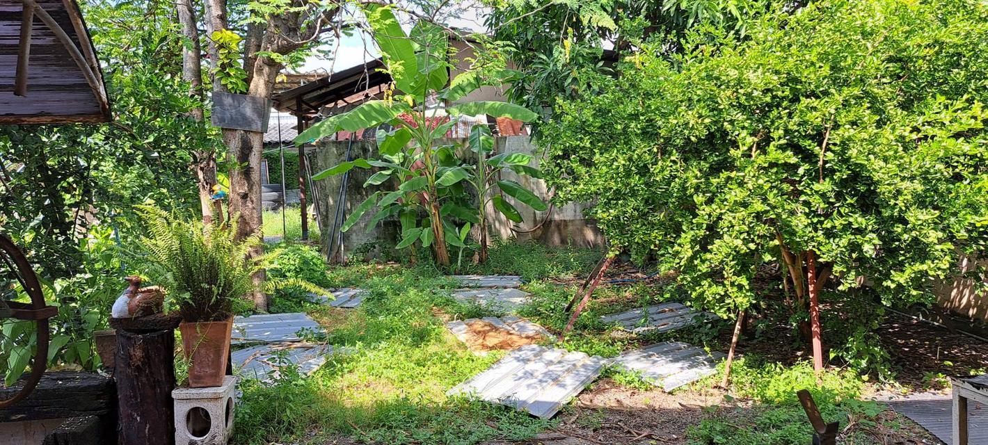 ขาย อาคารพาณิชย์ 4.5 ชั้น+พร้อมที่ดิน 114 ตร.วา (ติดถนนสายไหม) ทำเลทอง ค้าขายดี 5