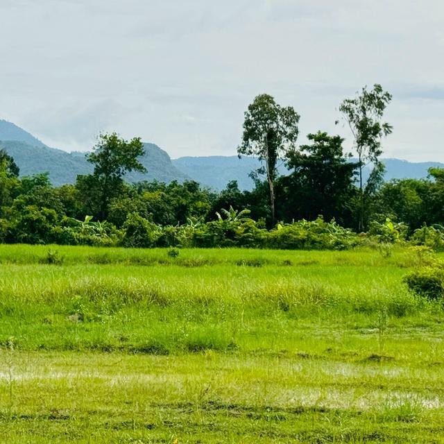 ที่ดินวิวเขา นครนายก 2