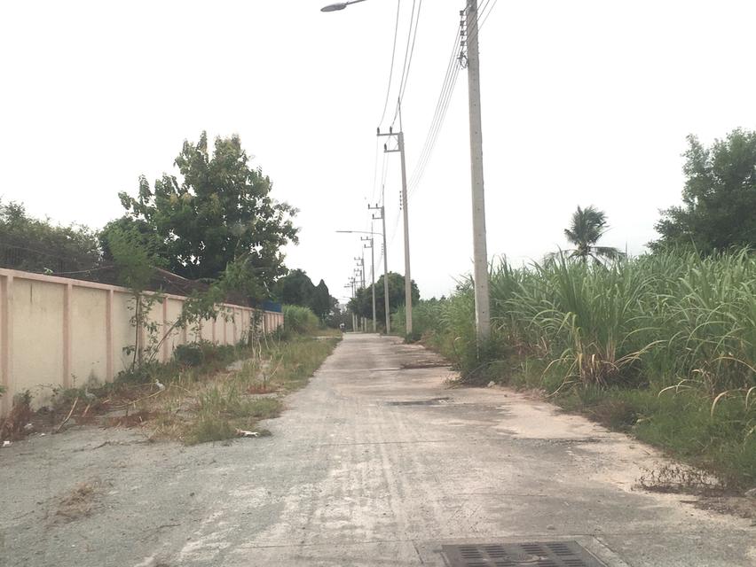 ขายที่ดินในเมืองชลบุรี บ้านสวน เนื้อที่ 31.5ไร่ใกล้ถนนบายพาสเลี่ยงเมืองชลบุรี ใกล้โลตัลบ้านสวน ห่างจากถนนเลี่ยงเมืองชลบุรี 800เมตร 4