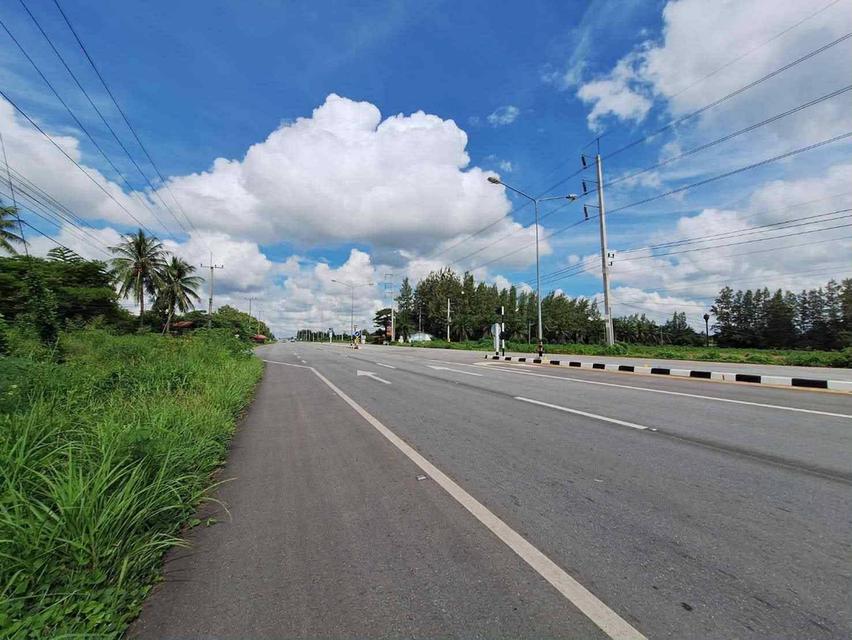 ติดถนนใหญ่ (พระทองคำ-ชัยภูมิ) โคราช ติดถนนหลวง 4 เลน (205)