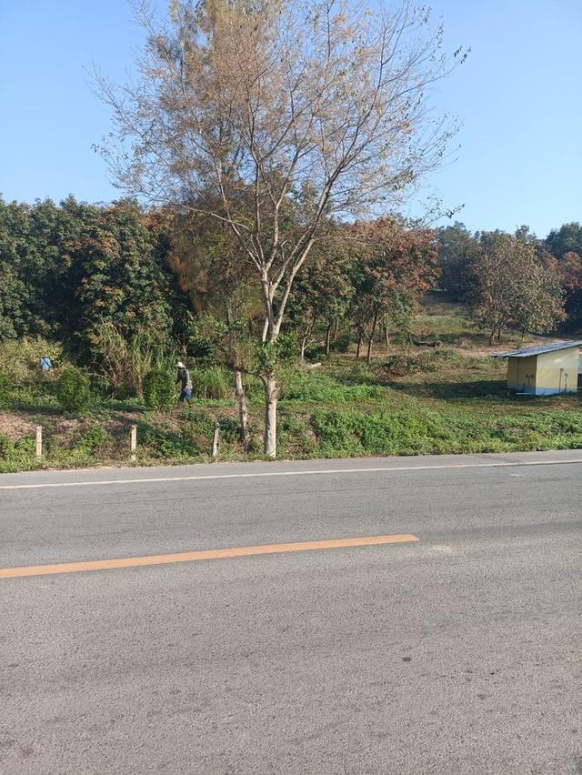 ขายที่ดินแปลงใหญ่ 148 ไร่ เป็นสวนยางพารา ที่มีโฉนด 4