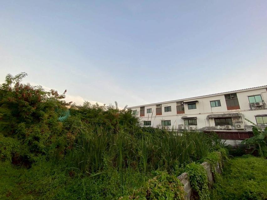 Vายถูกที่ดินใกล้รถไฟฟ้า 100 ตารางวา ซอย รามอินทรา 62 เขตบางกะปิ กรุงเทพมหานคร 10