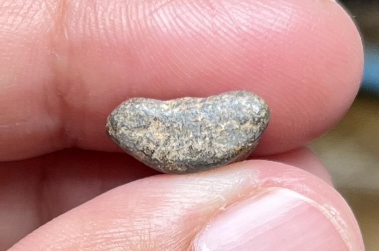 พระปิดตาหลวงปู่ศุข 4