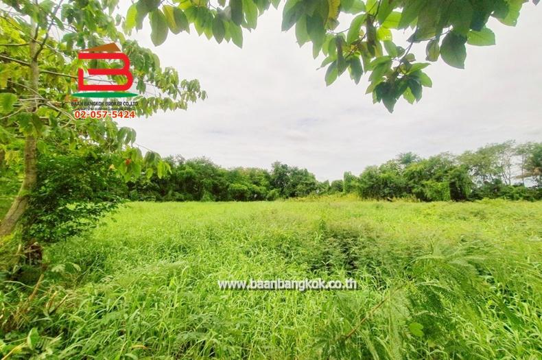 ที่ดินเปล่า ระแหง-ลาดหลุมแก้ว เนื้อที่ 3 ไร่ ติดบจก.ชาญนครวิศวกรรม, ตรงข้ามปั้ม ปตท. ม.12 ถนนกาญจนาภิเษก ตำบลระแหง อำเภอลาดหลุมแก้ว จังหวัดปทุมธานี