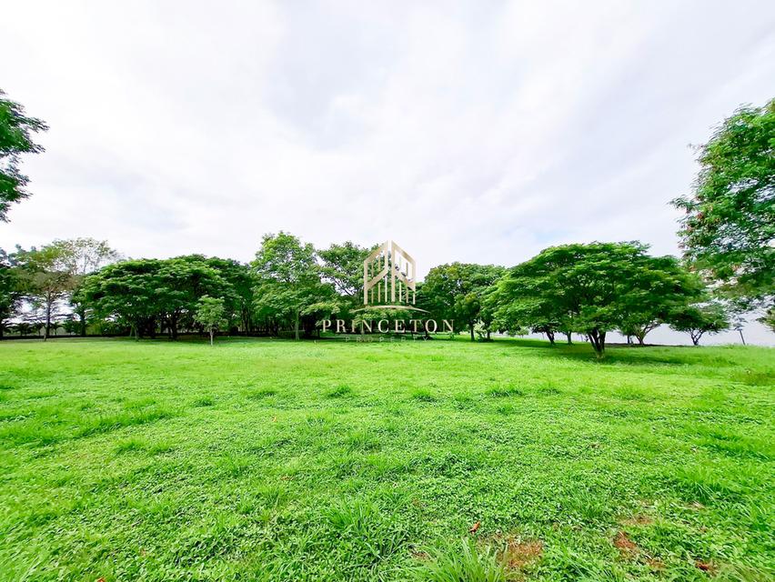 Lakefront Land – Prime Nature Villa ที่ดินริมทะเลสาบ – ไพร์ม เนเจอร์ วิลล่า 6