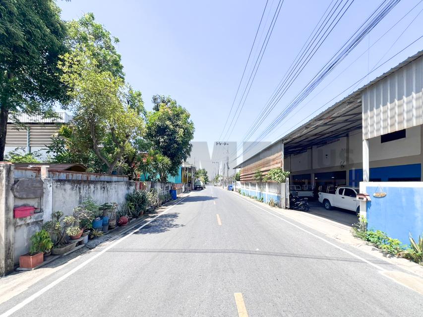 โกดังสินค้า โรงงานแปรรูปไม้ ซอยลำโพ 49 บางบัวทอง นนทบุรี รูปที่ 19