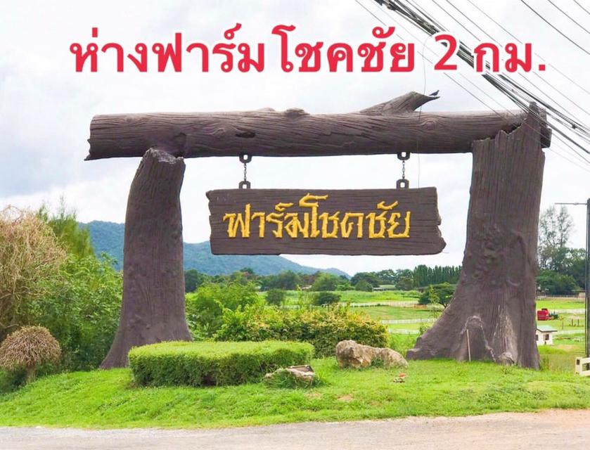 ขายที่ดินปากช่อง 43 ไร่ (หรือแบ่งขายได้ 21 ไร่) ราคาถูกมาก ติดถนนมิตรภาพ 220 เมตร กลางดง ปากช่อง นครราชสีมา 8