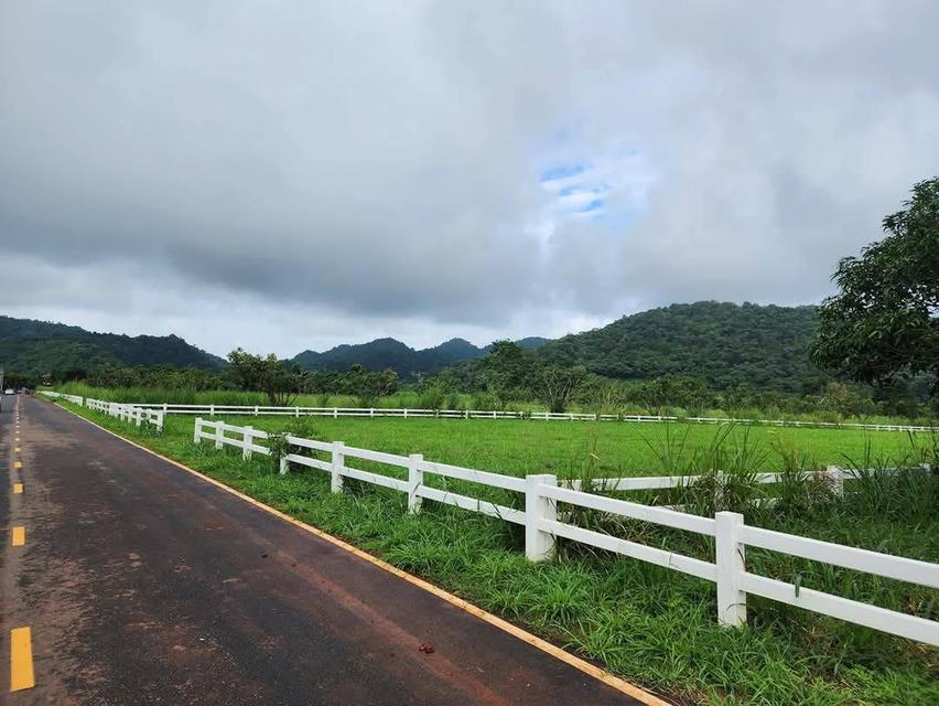 ขายที่คลองม่วง ปากช่อง เขาใหญ่ 2ไร่ วิวเขาสวยมาก ใกล้ภูเขา ที่สูงบรรยากาศดี มีชุมชนเพื่อนบ้านตากอากาศ ไม่เปลี่ยว ใกล้เส้นหนองสาหร่าย 0879074045 1