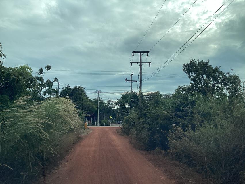 ขายที่ดิน76ไร่เพื่อโครงการโซล่าเซลล์ใน จ.สกลนคร 4