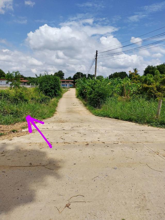 ที่ดิน 7