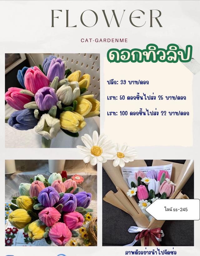 ดอกไม้กำมะหยี่ ปลีก-ส่ง