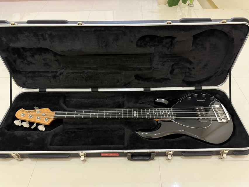 Music man usa stingray 5 bs รูปที่ 2