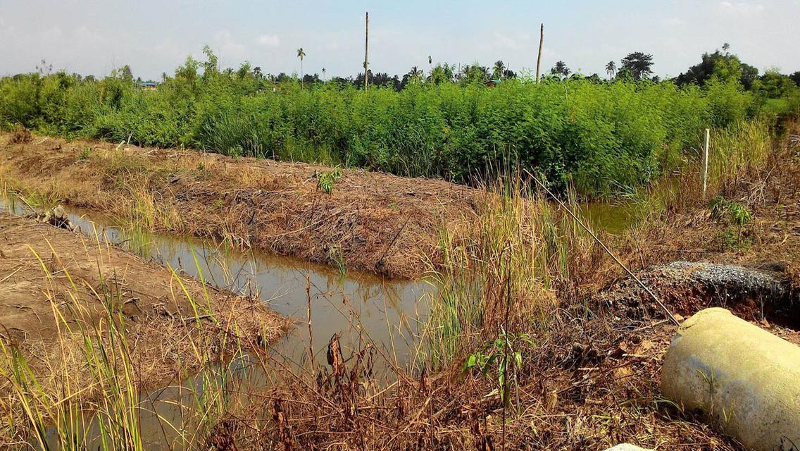 ที่ดิน ใกล้ วัดเจดีย์หอย 3