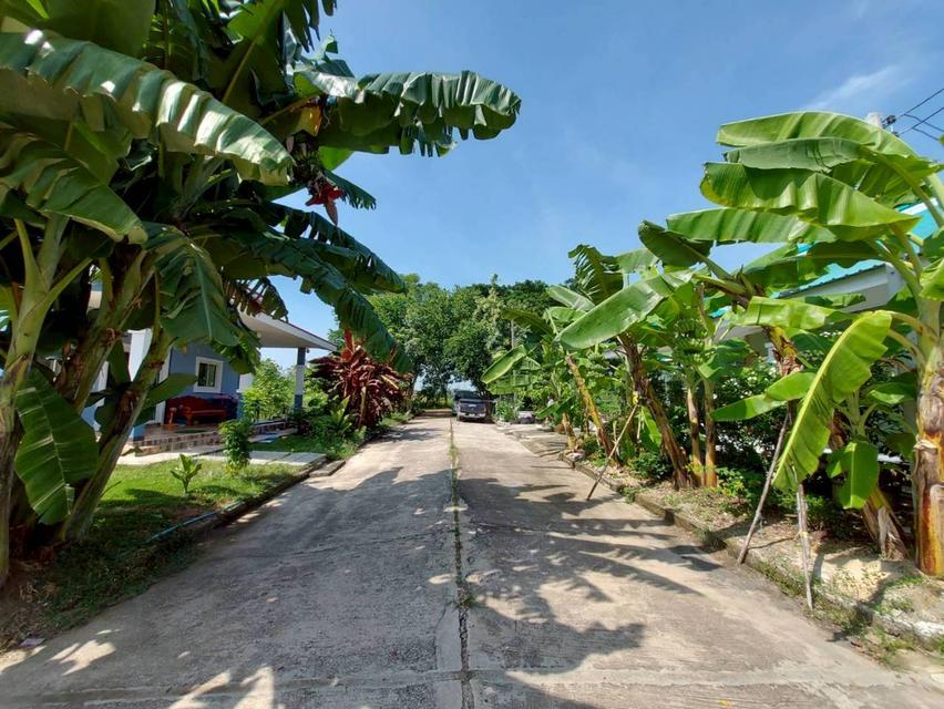 ขายบ้านชั้นเดียว ใกล้องค์การบริหารส่วนตำบลพืชอุดม 3