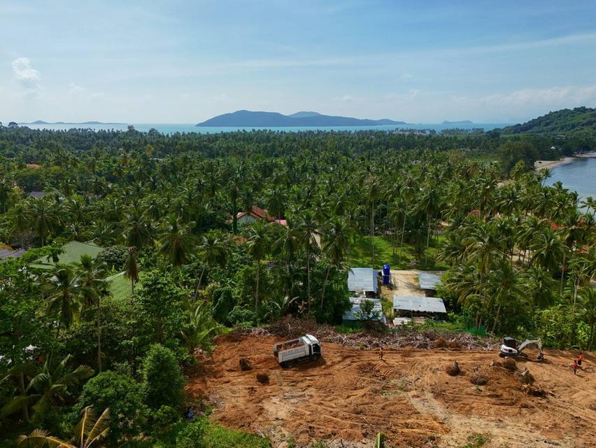 ขายที่ดินเกาะสมุย 2 ไร่ ตลิ่งงาม ใกล้ทะเล แบ่งขาย เหมาะสร้างวิลล่าและรีสอร์ต 7