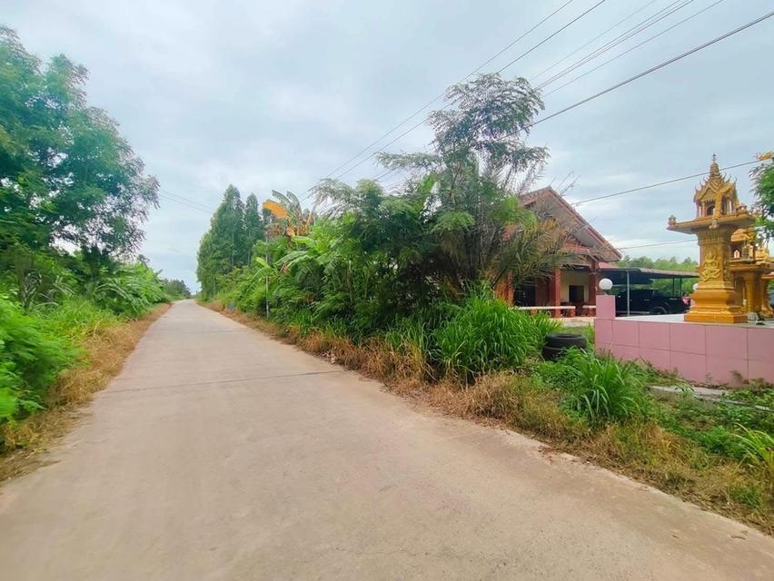 ขายบ้านชั้นเดียวพร้อมที่ดิน ต.นางวังหิน อ.พนัสนิคม จ.ชลบุรี (ใกล้ถนน331) ราคา 2 ล้านบาท 4