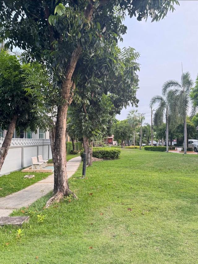 บ้านเดี่ยว1หลัง หมู่บ้านอิมเมจเพลส 3