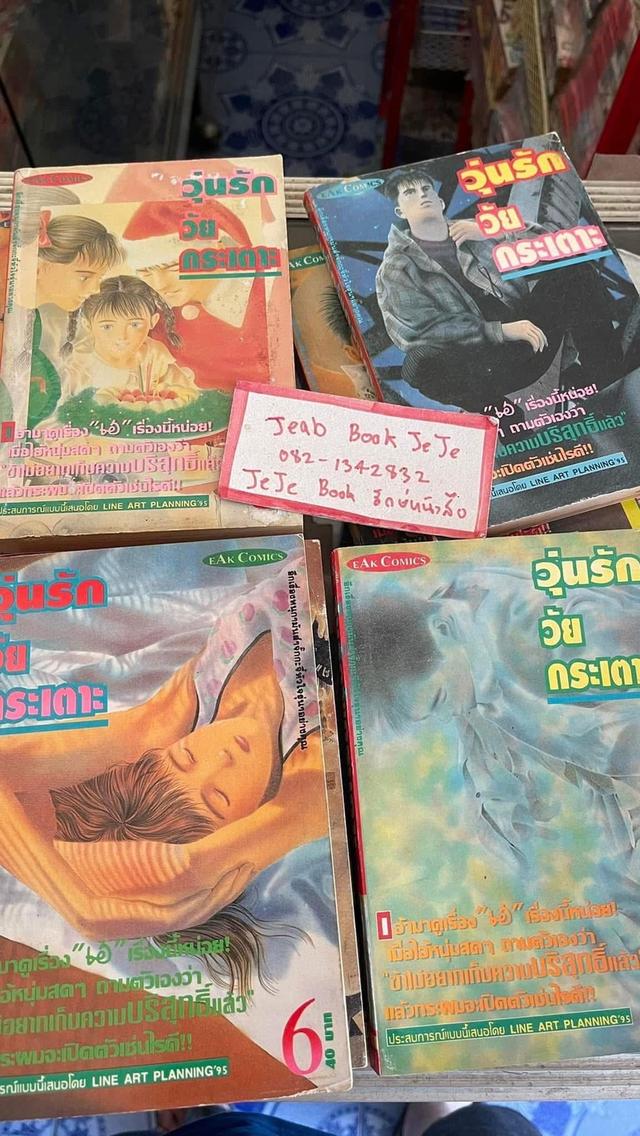 หนังสือการ์ตูน วุ่นรัก วัยกระเตาะ 1-8 จบ