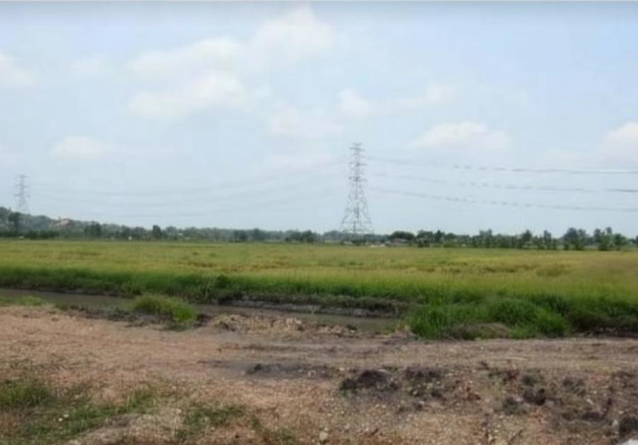 ขายที่ดิน เนื้อที่ 94-0-95 ไร่ อ.พนัสนิคม ใกล้โรงพยาบาลส่งเสริมสุขภาพตำบลหัวถนน 2