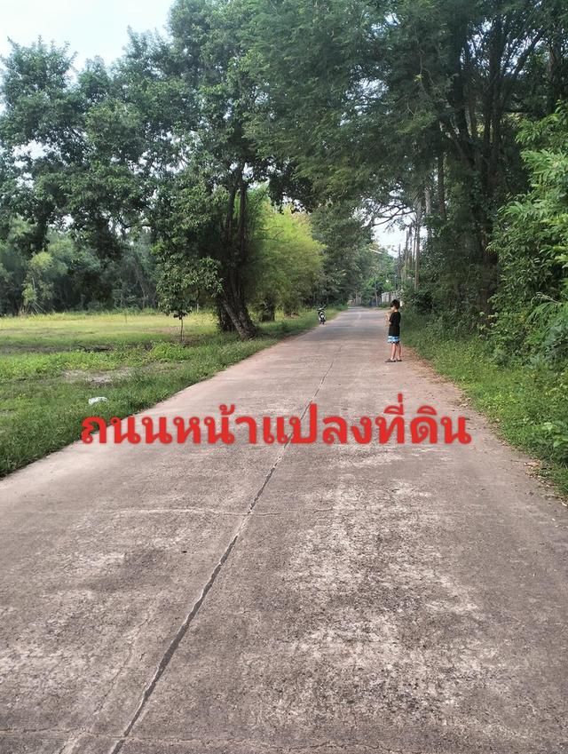 ที่ดิน อ.เมือง จ.อุบลราชธานี 7