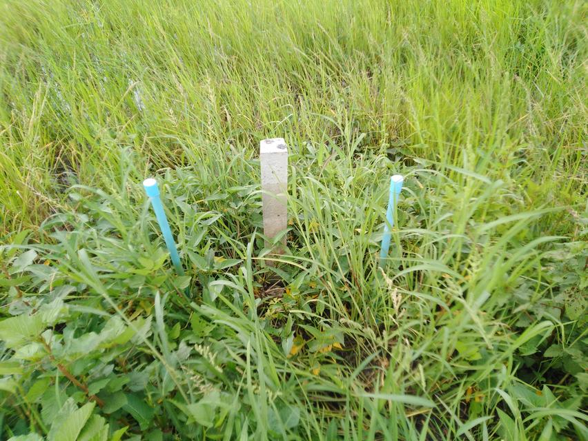 ที่ดิน400-500.ตรางวา 10