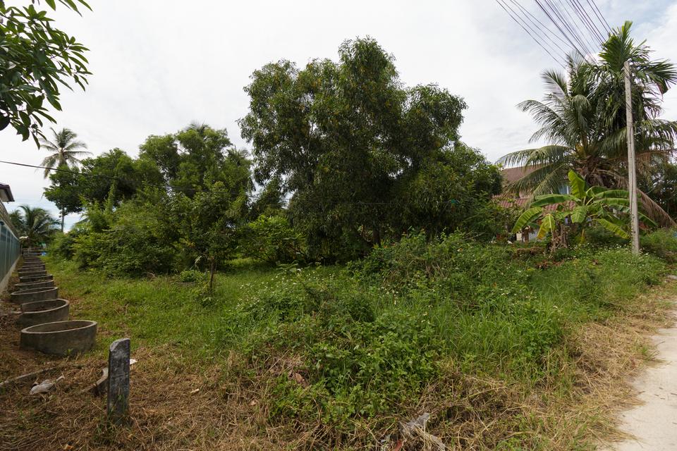 ขายที่ดินม่วงงาม 8 ห้อง ใกล้ทะเลอ่าวไทย จังหวัดสงขลา 5