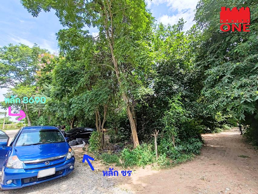 ที่ดินแบ่งขายราคาถูกมาก ทำเลดีในโคราช หัวทะเล ขนาด99 ตร.ว. เพียง 1.2 ล้านบาท (ต่อรองได้) ฟรีโอน 4