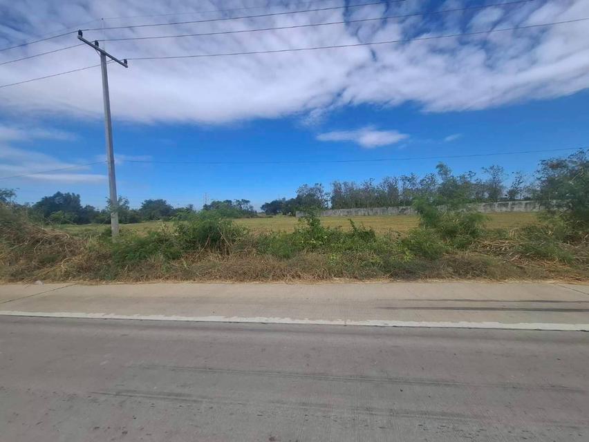 ขายที่นาติดถนนซ้ายขวาขายรวม2แปลง ใกล้วัดหนองนาก หนองแค สระบุรี 4