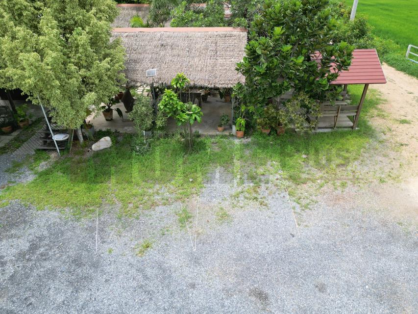 ขาย ที่ดินจัดสรร ลำลูกกา คลอง16 องครักษ์ 3