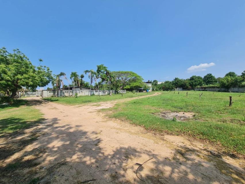 ขายที่ดินพัทยาใต้ ซอยสุขุมวิท 58 และ 60  11