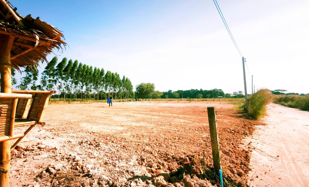 ขายที่ดิน เมืองนครนายก แปลงสวย วิวเขา ติดถนนคอนกรีต น้ำ-ไฟพร้อม มี 2ขนาด 100ตร.วา กับ 1ไร่ นครนายก 2