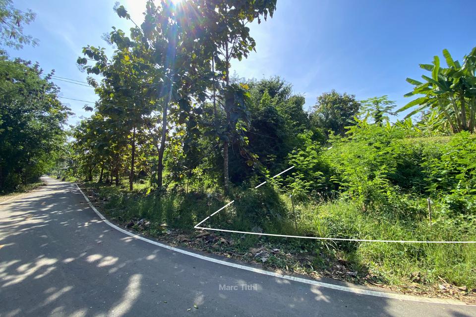 ขายที่ดิน 1 ไร่ 3 งาน จ.เพชรบูรณ์ วิวภูเขา ติดถนนลาดยาง ไฟฟ้าถึง น้ำไม่ท่วม ไม่ต้องถม 700,000 บาท (เจ้าของขายเอง) 14