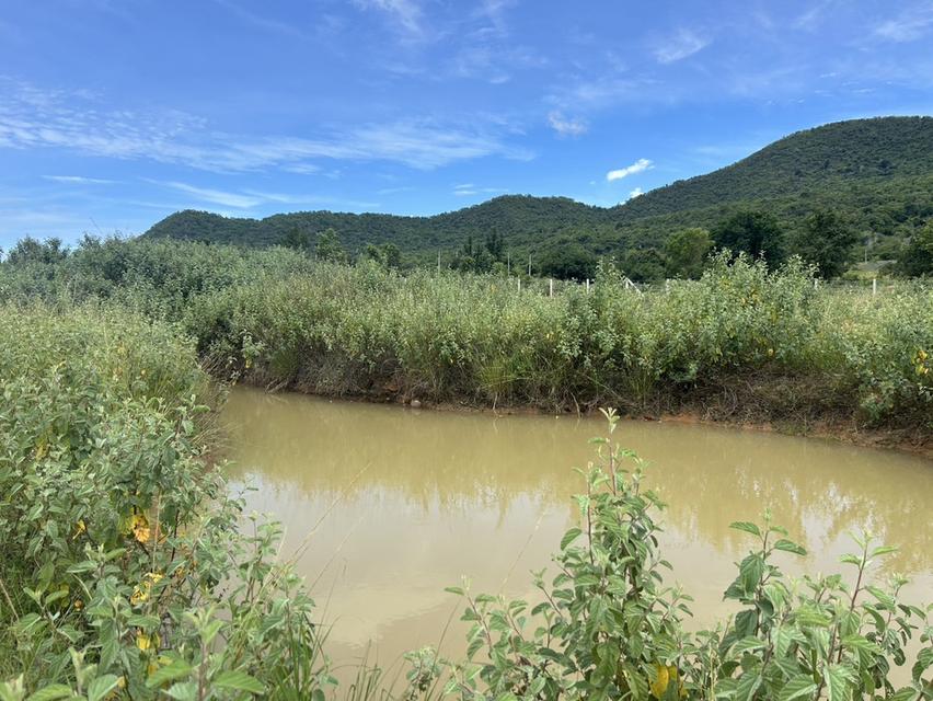 ที่ดิน Valley View แก่งกระจาน  เพชรบุรี สด ผ่อนได้ 5