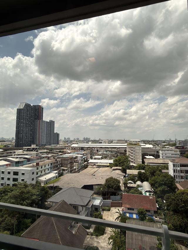 คอนโด ให้เช่า / ขาย  คอนโด ไลฟ์ สุขุมวิท 62 9