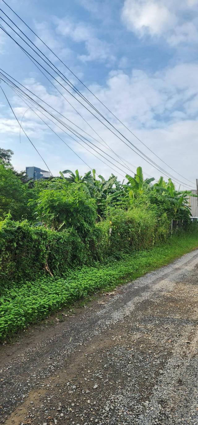 ที่ดิน 5