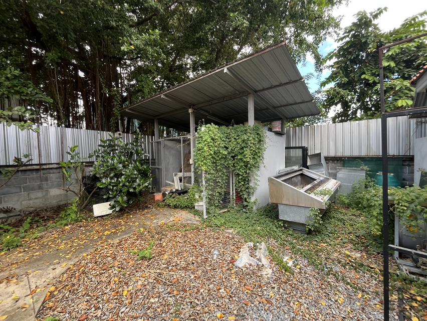 ที่ดินขนาด 1ไร่ 1งาน 39 วา (539 ตารางวา) พร้อมโรงงานพื้นที่ 442 ตารางเมตร หน้ากว้างที่ดิน 20 เมตร พร้อมโรงอาหารและห้องน้ำแยก 4