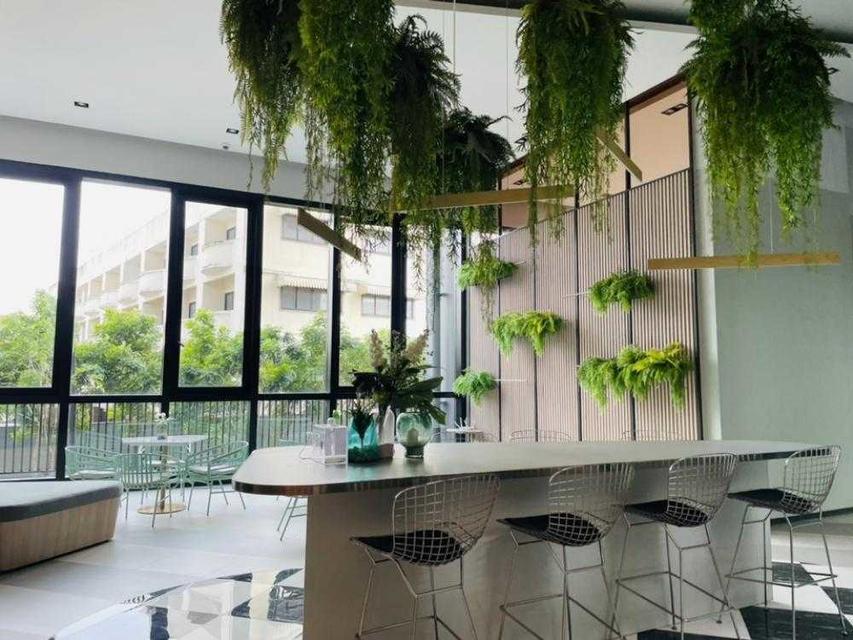 ปล่อยเช่า นิชโมโน เมกะ สเปช บางนา 16