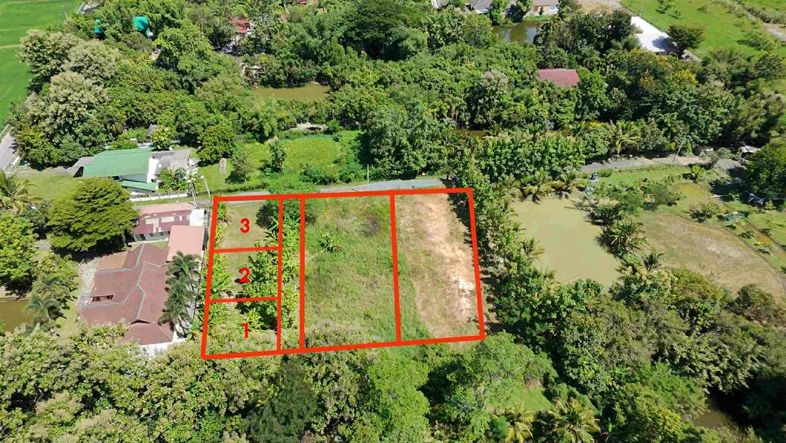 แบ่งขายที่ดิน 1