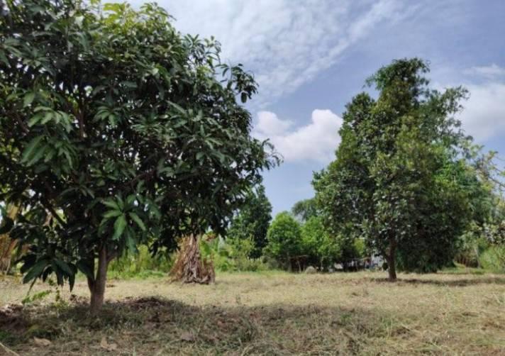 ขายบ้านพร้อมที่ดิน อำเภอเลาขวัญ กาญจนบุรี บรรยากาศดี ติดถนนสาธารณะ 2 ด้าน  น้ำไฟพร้อม 10